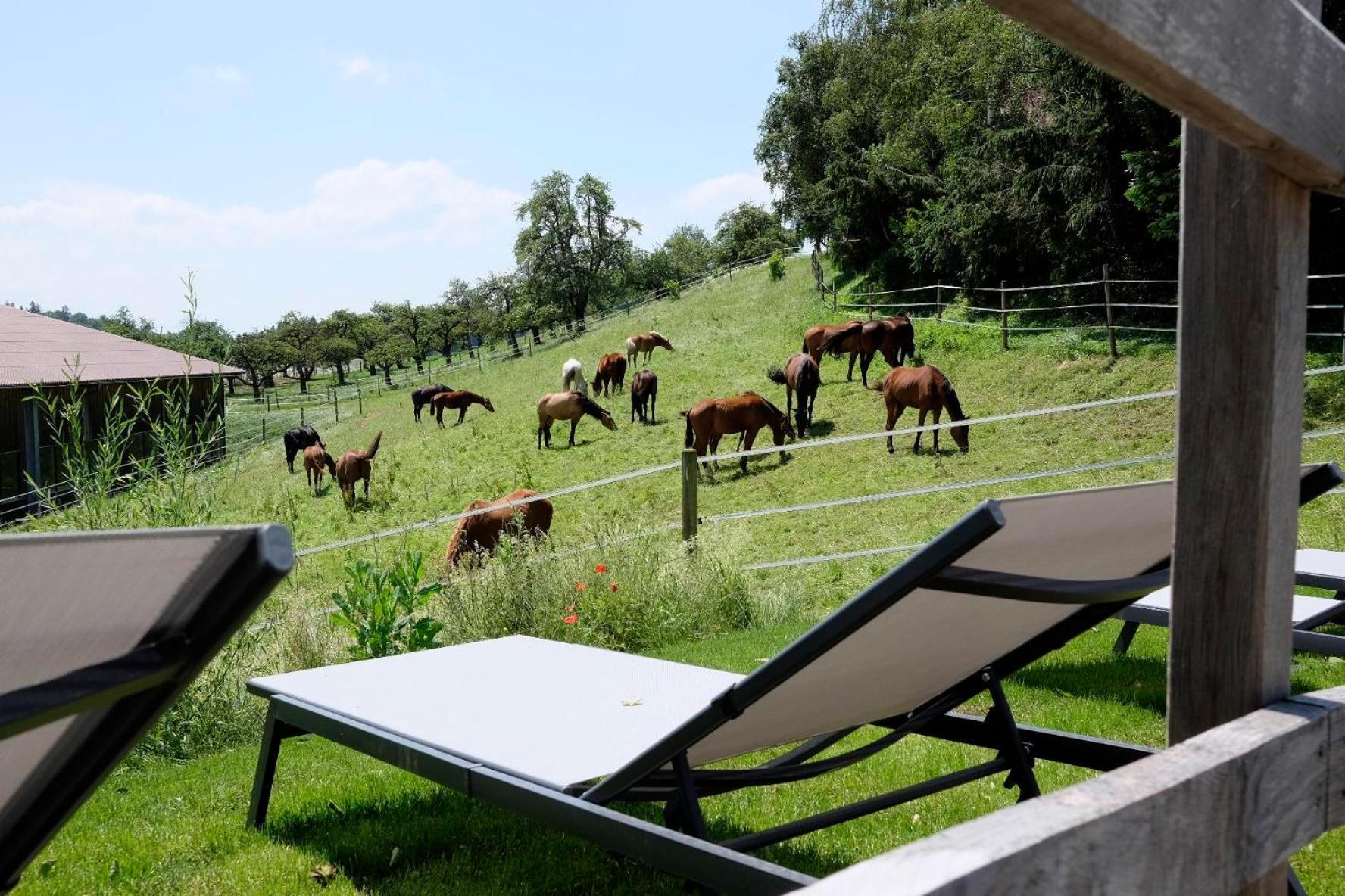 Trautesheim Ferienwohnungen Wangen im Allgaeu ภายนอก รูปภาพ