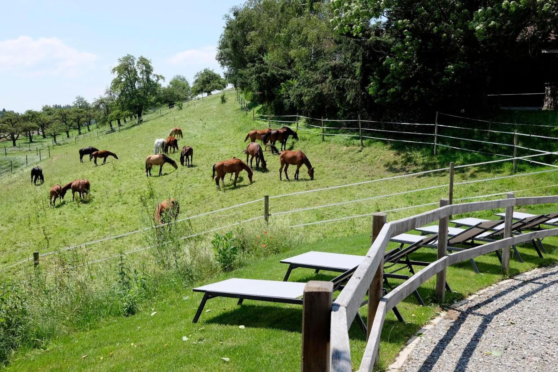 Trautesheim Ferienwohnungen Wangen im Allgaeu ภายนอก รูปภาพ